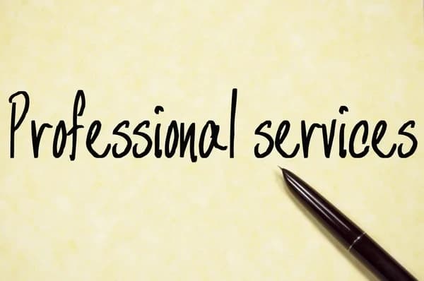 Additional Professional Services