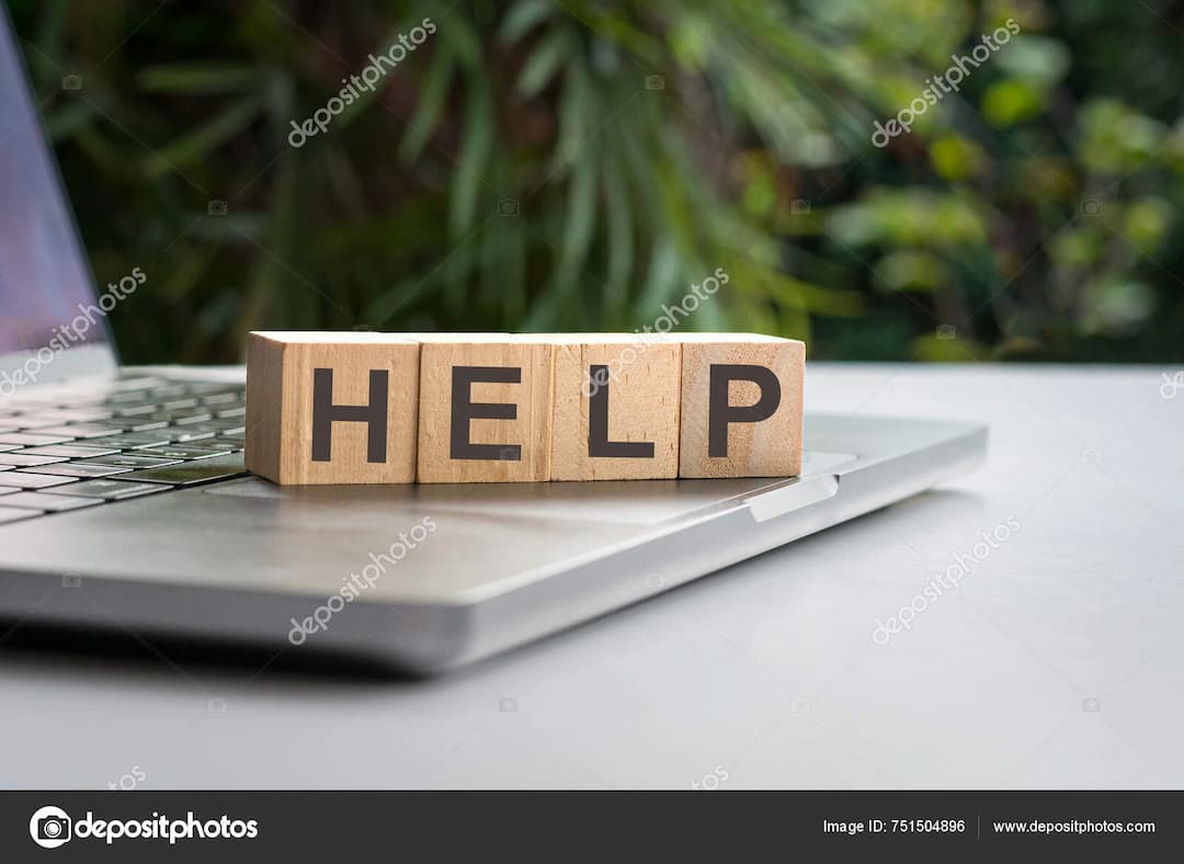 Applications & Renewals Assistance